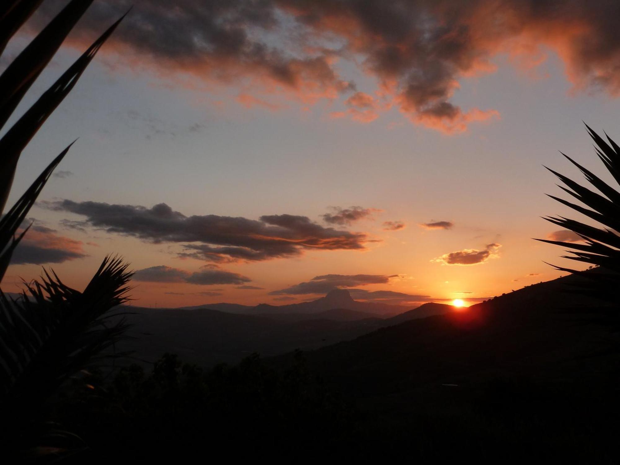 Villa Della Mimosa Alia Buitenkant foto